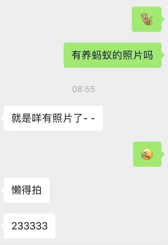 一只鸭子一万五元,一只鸭子一万多