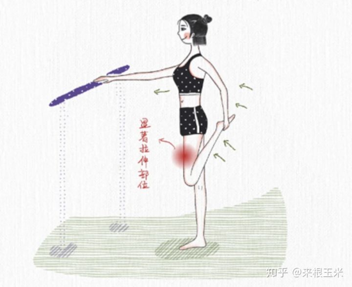 水肿腿加大象腿怎么瘦,大象腿赘肉多