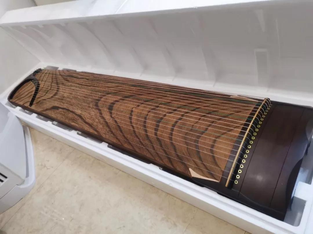 风尚人物|张梦婷:泠泠琴韵,君子如兰