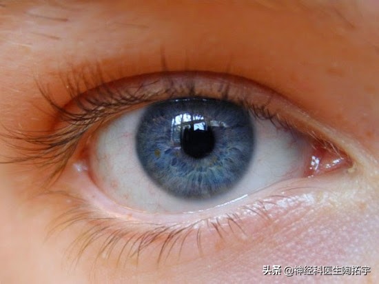 眼球人体解剖学讲解,眼睛解剖讲解