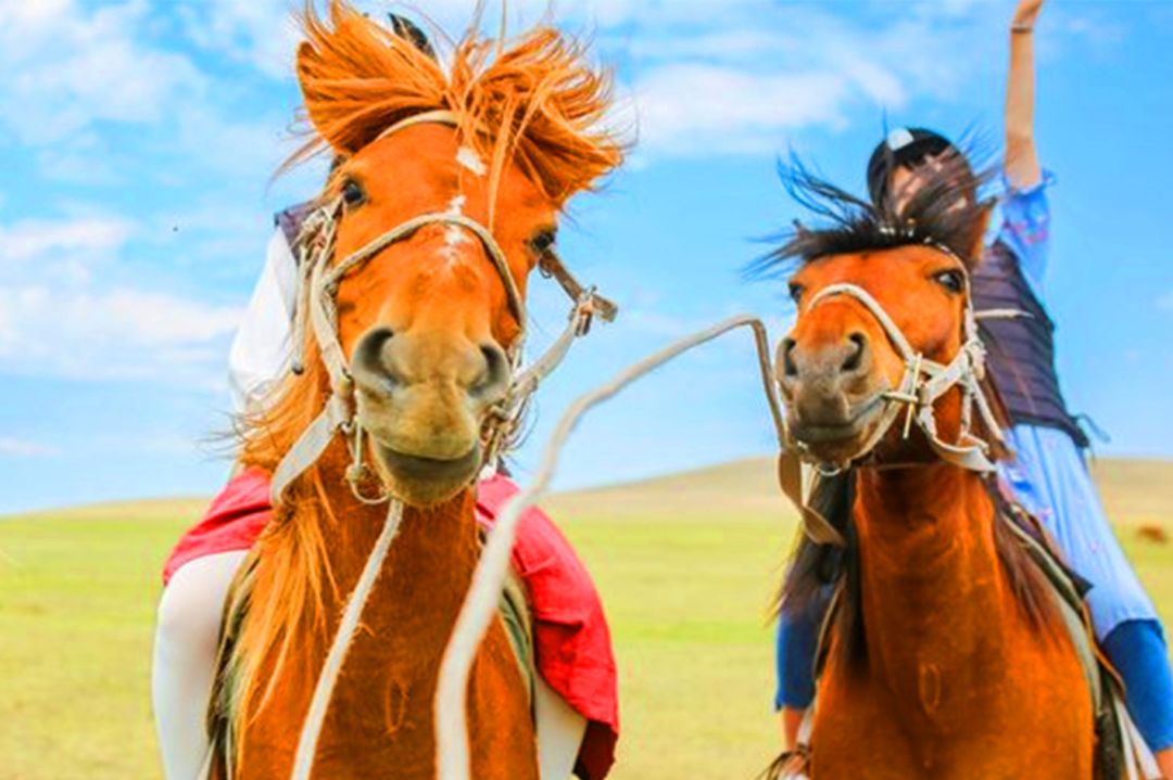 张北最美的景区是哪里,最美的草原自驾游路线攻略