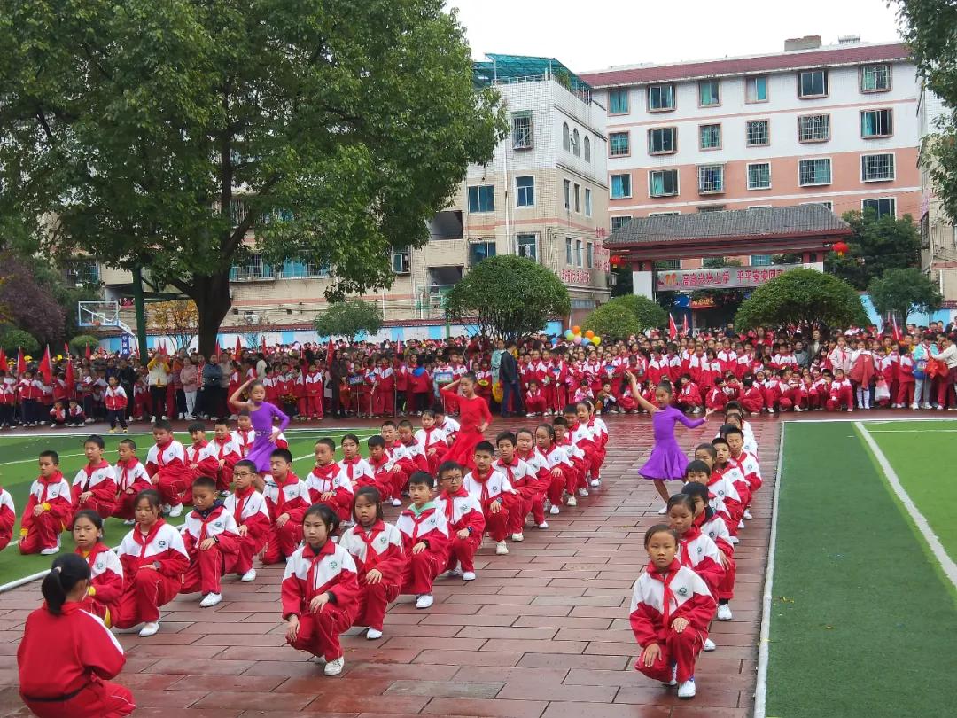 向日葵、比卡丘,嗨翻桐梓这些学校