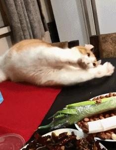 搞笑gif吓死我了,搞笑gif图等着我来救你