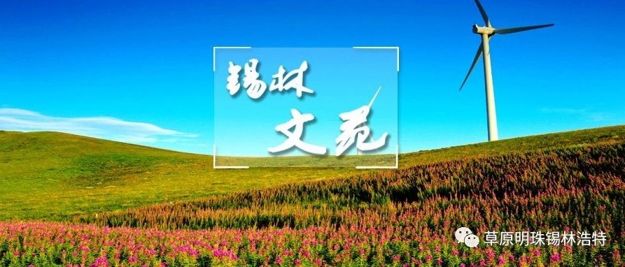 李树和,李树和李子树