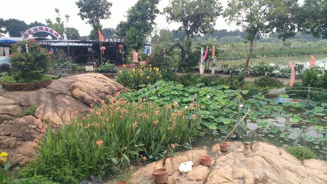 中山崖口美食推荐,崖口村煲仔饭云吞团购