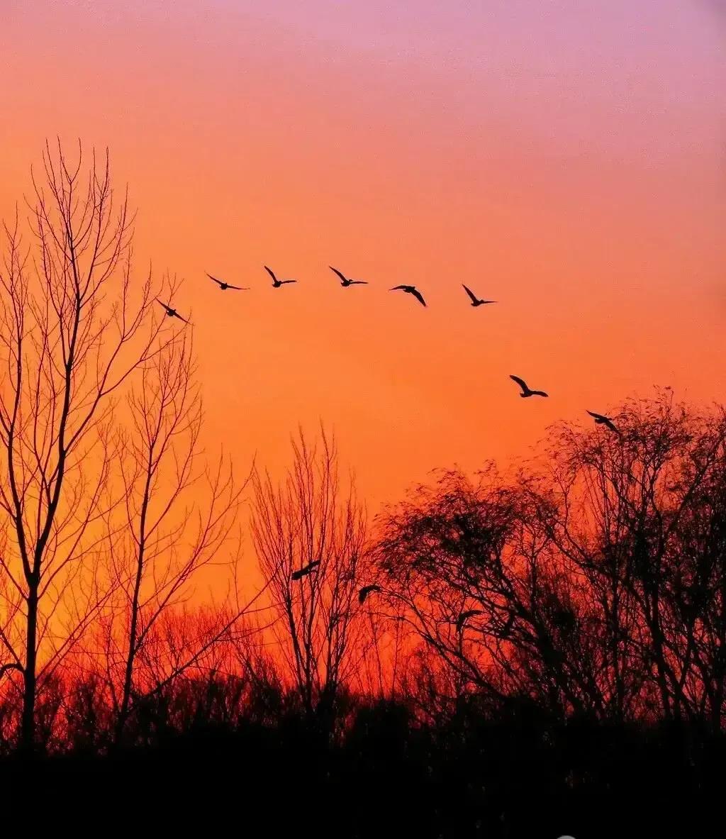 小三语文句式训练系列十六（直述句改转述句1）