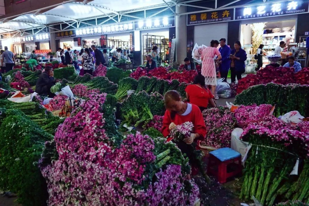 玫瑰花10支批发高原红,最好看的鲜花批发市场