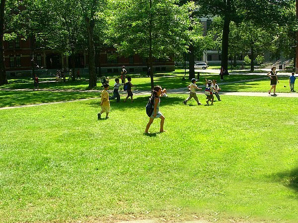 加拿大近视率,德国近视率为什么低