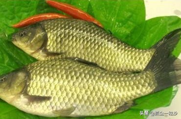 鹤壁市淇县美食排行榜,鹤壁淇滨区必吃