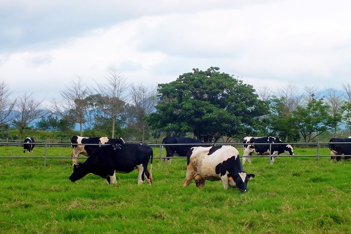台湾东海岸攻略,台湾自由行旅游路线图攻略