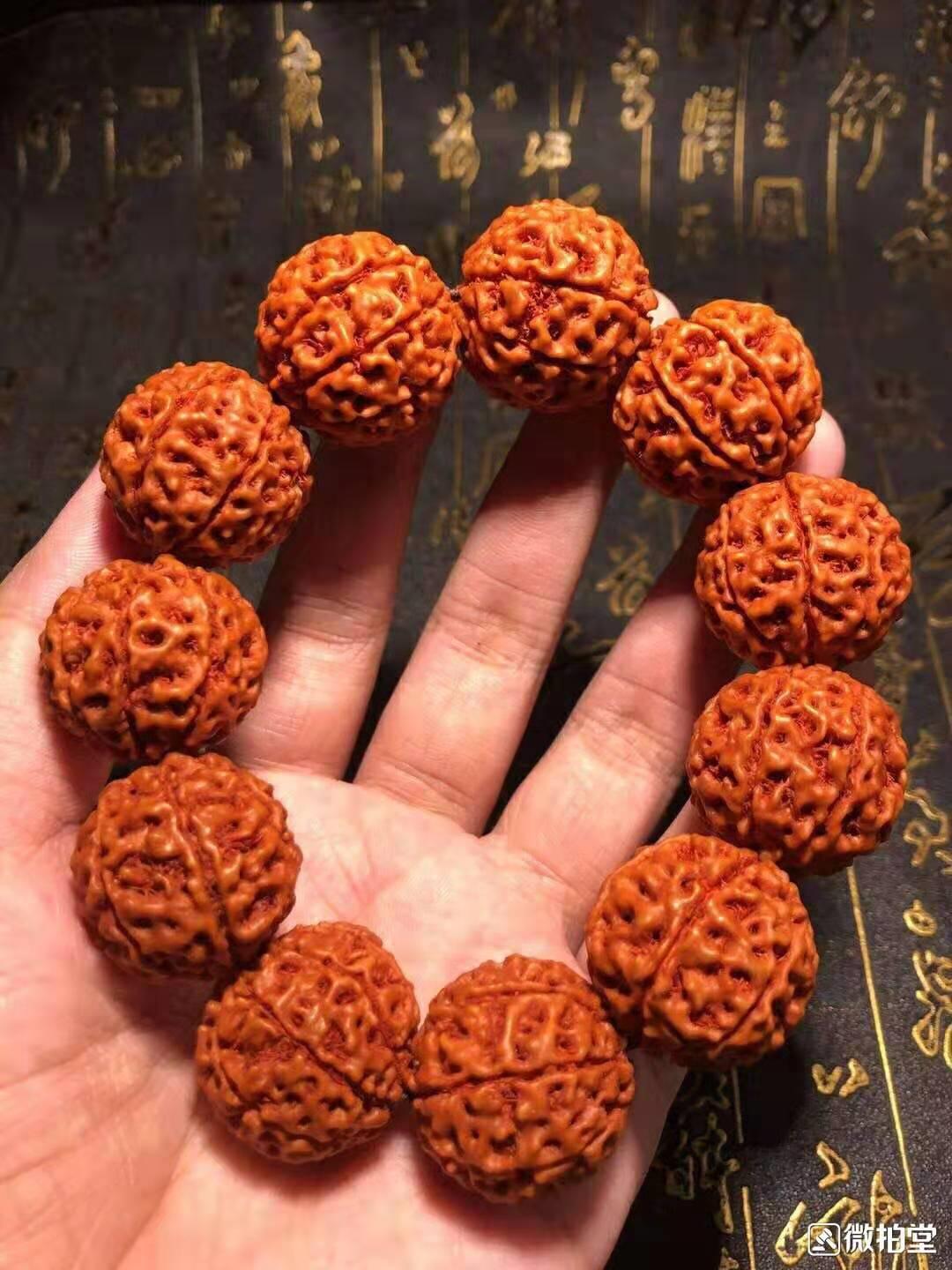 金刚菩提菠萝蜜牛津红,金刚菩提买原色的还是牛津红