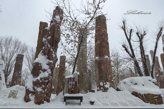 乌鲁木齐灯草沟滑雪,冰雪大世界滑雪体验