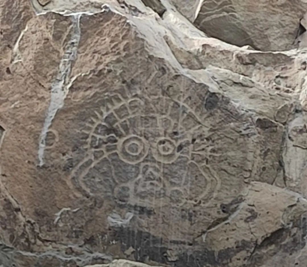 随心走旅游,宁夏自由行旅游攻略