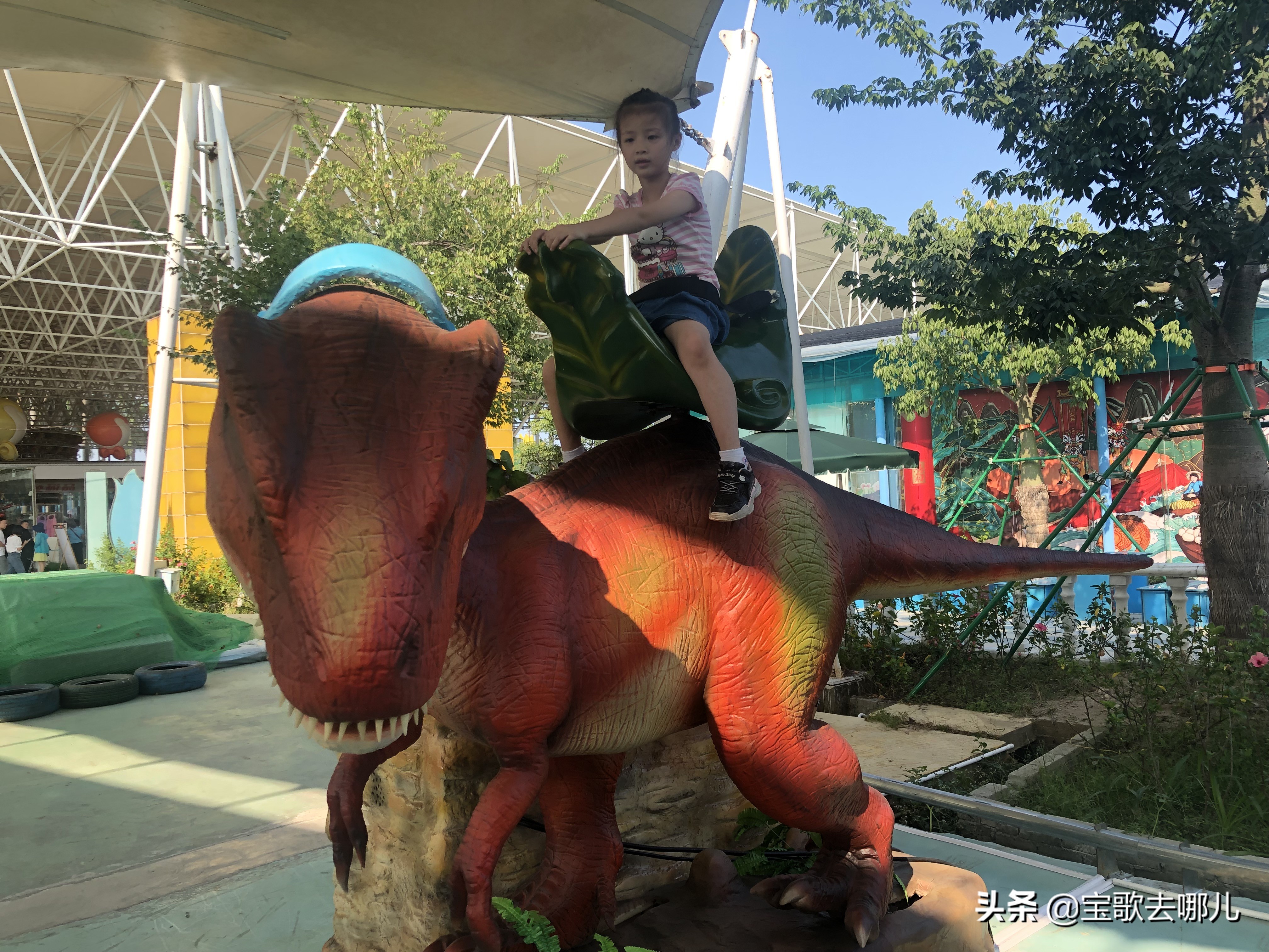 南沙百万葵园游记,南沙百万葵园亲子游