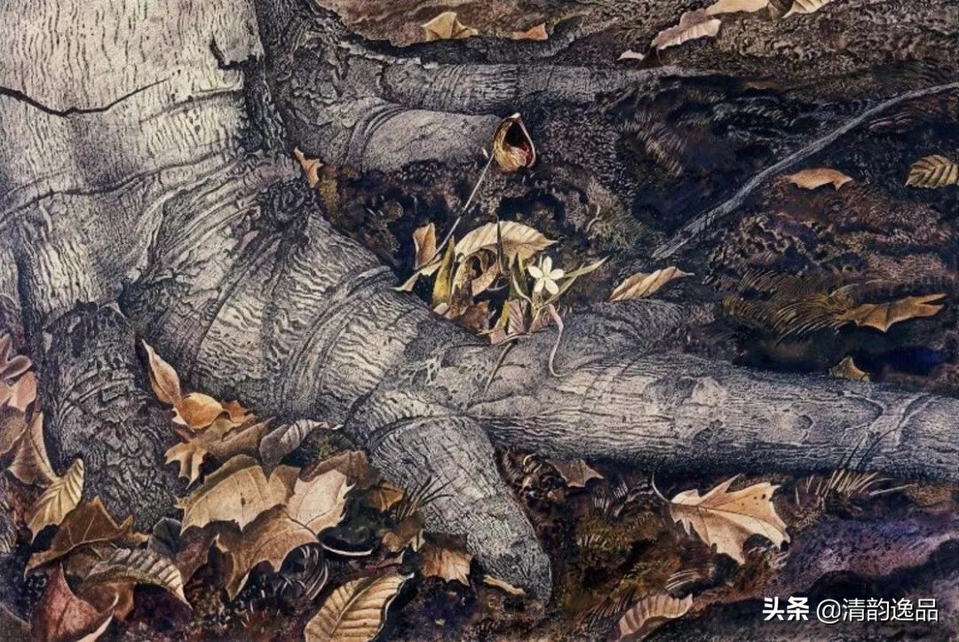 类似安德鲁怀斯的画家,安德鲁怀斯画家视频