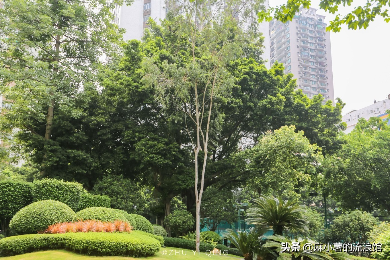 广州隐藏的公园,广州隐藏在市区的古建筑