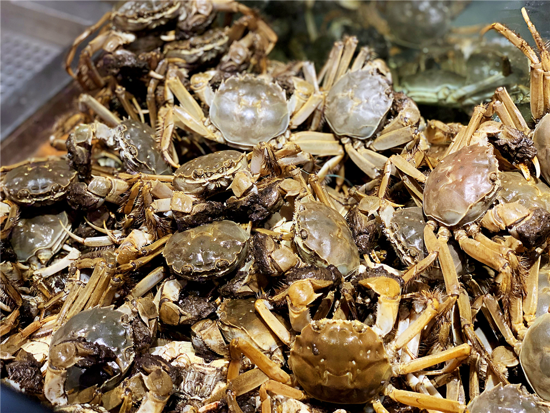 长春小三亚温泉,长春自助温泉