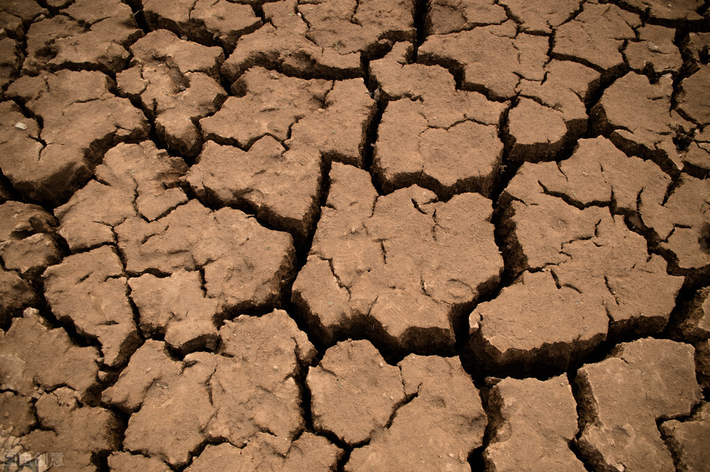 那一年夏天，我们一家整整两个月没有洗澡
