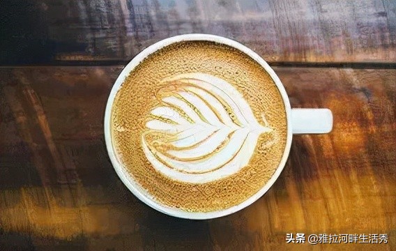 故事澳大利亚,澳洲留学生的真实故事