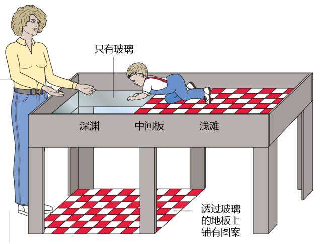 学习压力太大，13岁女孩头发*光脱**：父母应该怎么帮孩子减压？