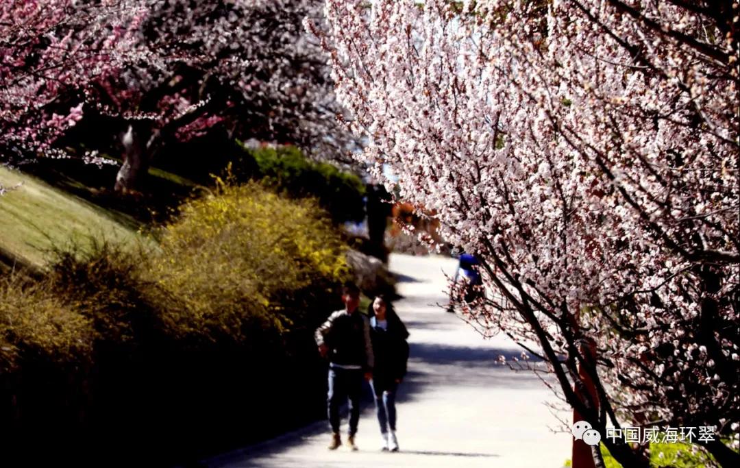 环翠景色,环翠美景