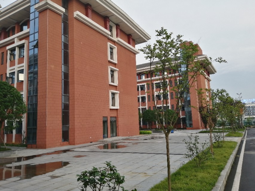 2024年全国青少年校园足球夏令营,全国青少年校园足球夏令营