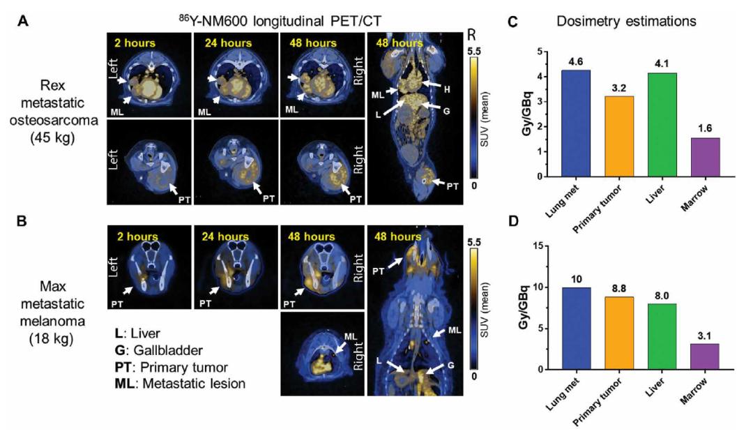 放射性核素治疗的肿瘤,放射性核素治疗癌症效果好吗