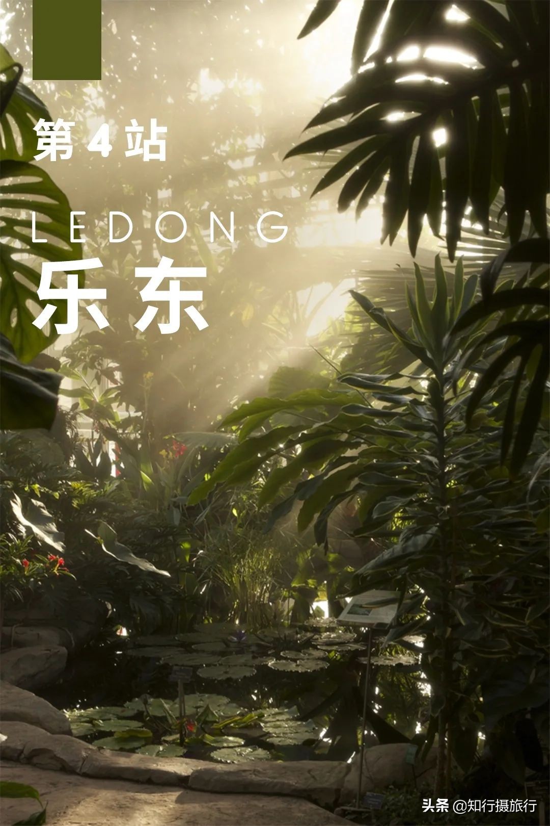 海南环岛自驾旅游攻略最新,海南东部环岛自驾游攻略详细行程