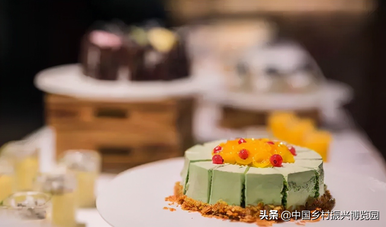 乡村振兴案例2021,乡村振兴案例2022