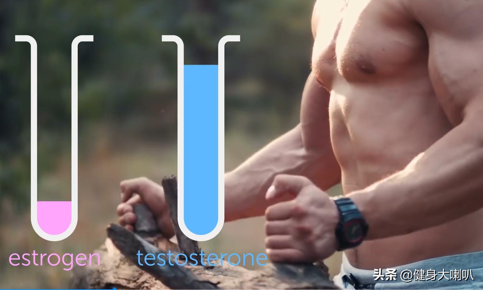 怎么调节男性性激素,怎么降低男性雌性激素