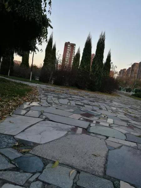 抚顺市第二中学地址,辽宁高级中学