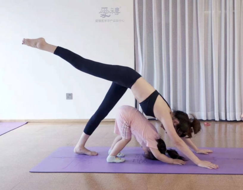 马伊琍怒赞的哑铃,马伊琍讲卵子的使命