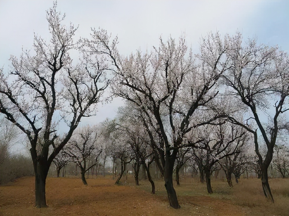民间故事：神秘的红药箱