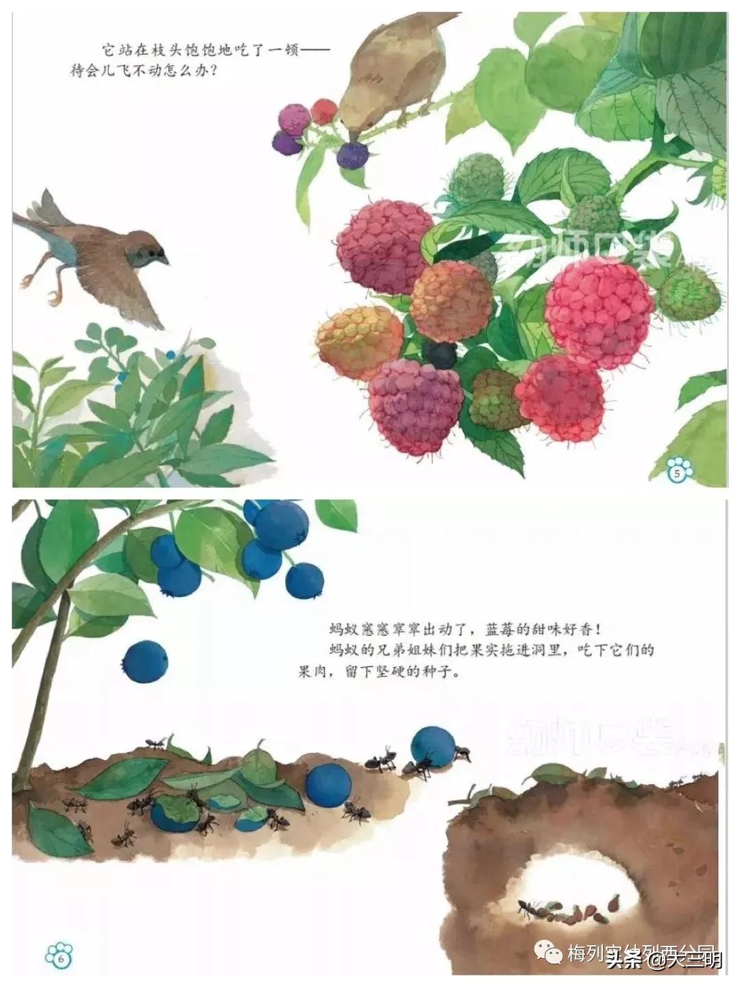 「家园齐心共战疫情」梅列实幼列西分园亲子“爱•悦课堂”中班(第四期)