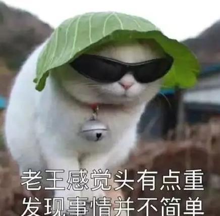 世界防溺水,旅游防坑指南