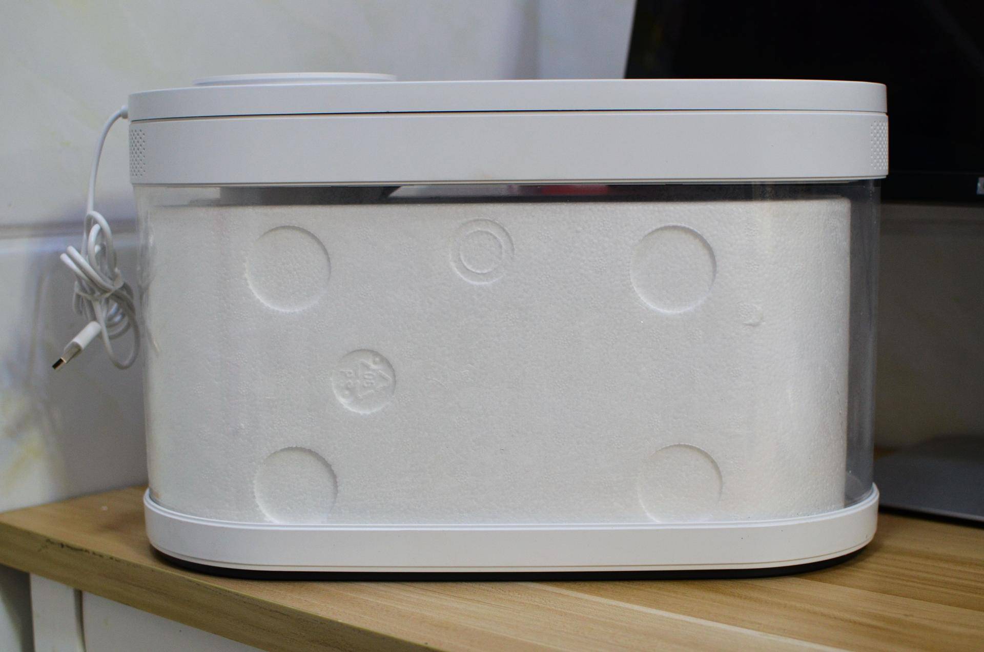 小米生态鱼缸养巴卡雷龙,小米生态缸养鱼入门基础教程