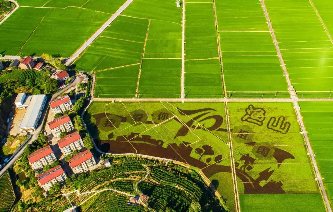 钱塘江出现巨幅画作,钱塘江大潮图片绘画