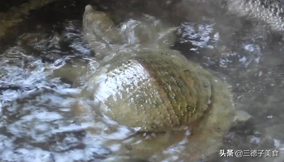甲鱼炖鹌鹑蛋吃了有什么好处,红烧甲鱼炖鹌鹑蛋的家常做法