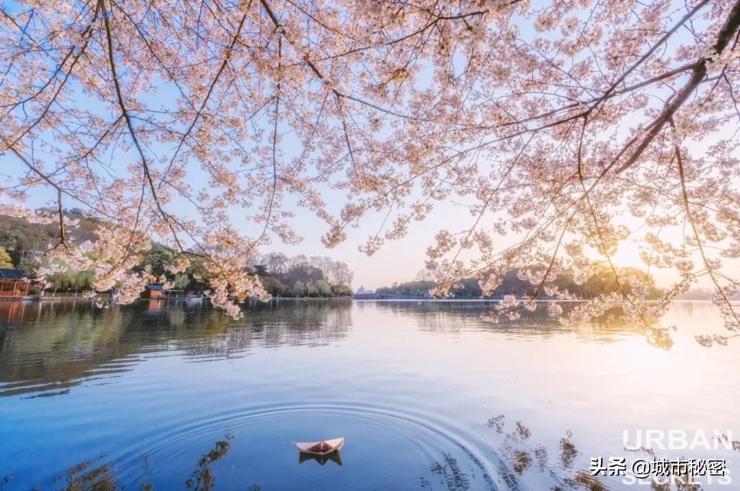 江南100，杭州99