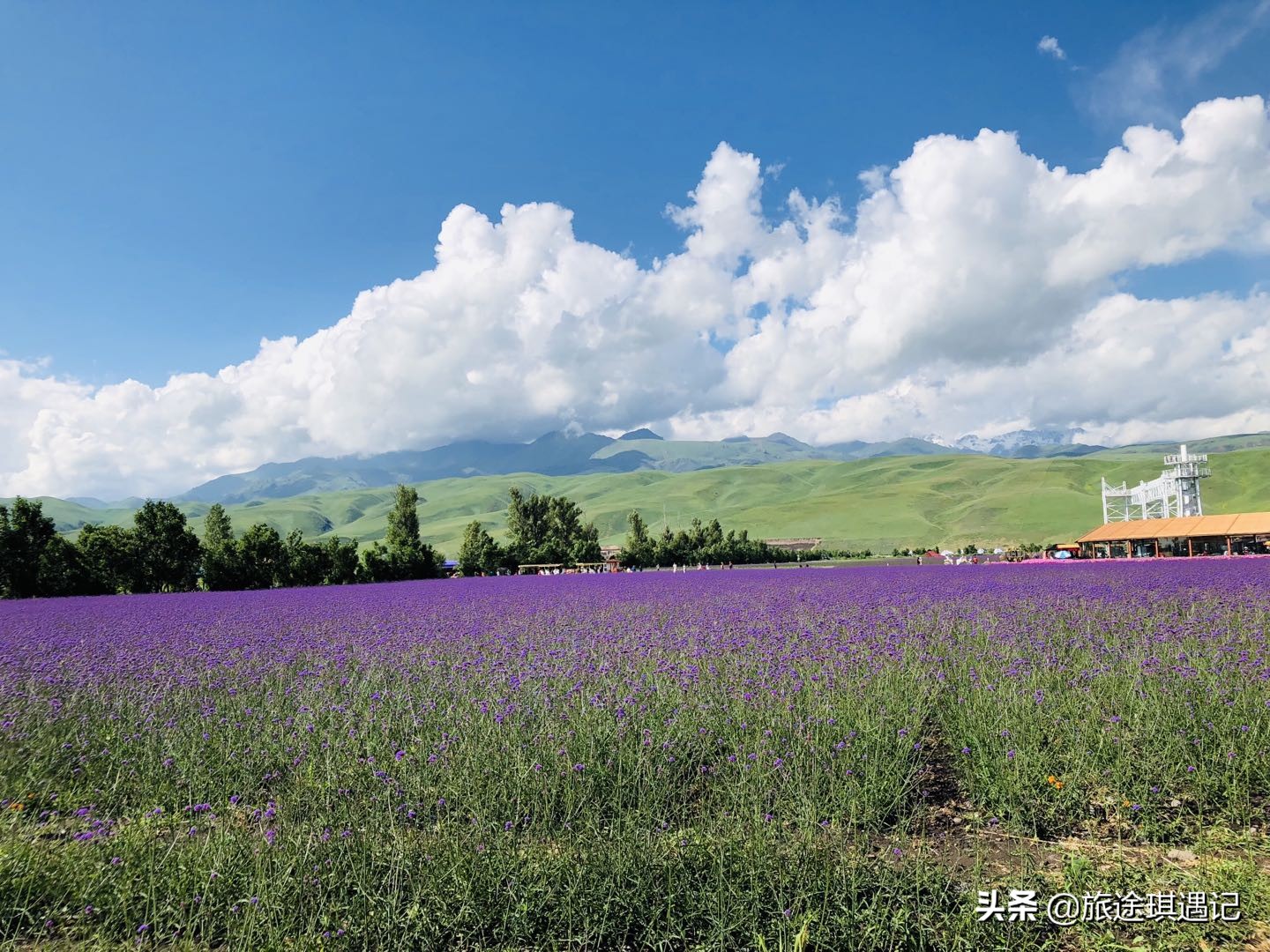 去新疆南疆北疆,去南疆北疆游