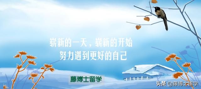 家里有矿都慎重考虑的专业,家里有矿学啥专业好