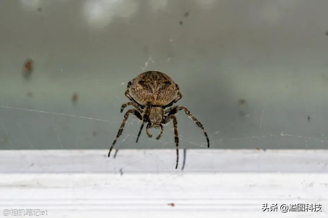 适马150-600s镜头评测,适马新镜头70-200