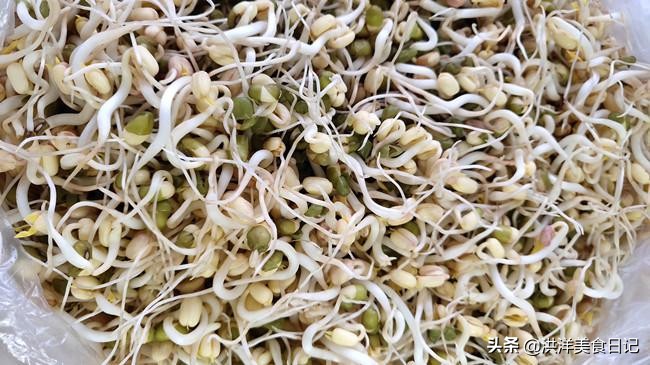 在家生绿豆芽的教程,用绿豆芽怎么生豆芽