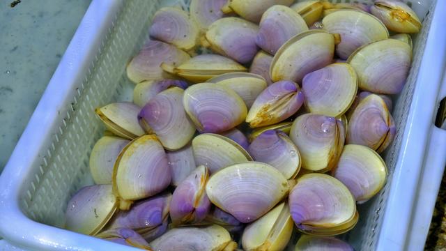 广东有什么适合游玩的岛屿,广东有什么好玩的海岛