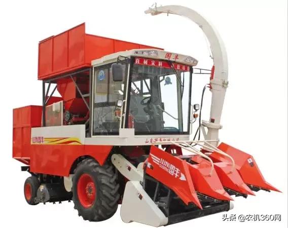 2023年鲜食玉米热销排行榜,2021年玉米双收排行