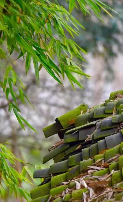 四川便宜又宜居的小城市,四川宜居的三四线小城