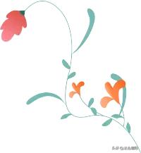 视频网红减肥药竟暗藏玄机,网红减肥药暗藏毒品