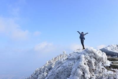 鍗楄僵灏忚鍏ㄩ泦鍏嶈垂闃呰,鍗楄僵浼犲鏁呬簨