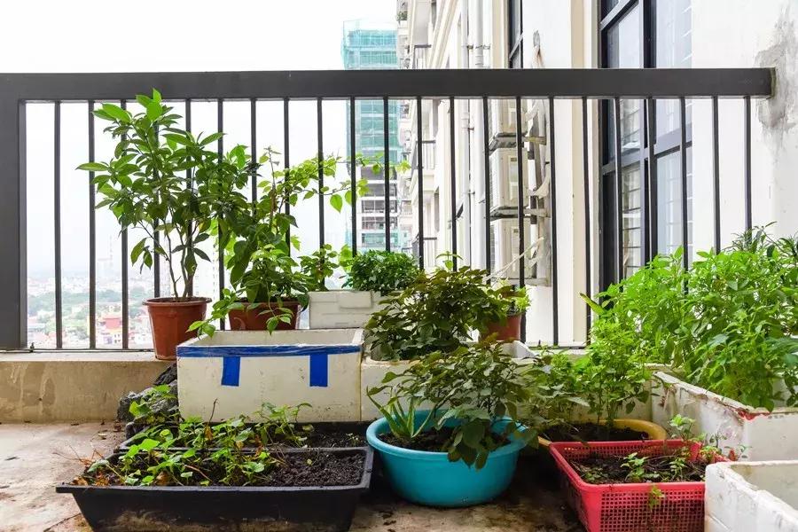 这几种食物相克千万不要给孩子吃,食物相克千万别给孩子吃