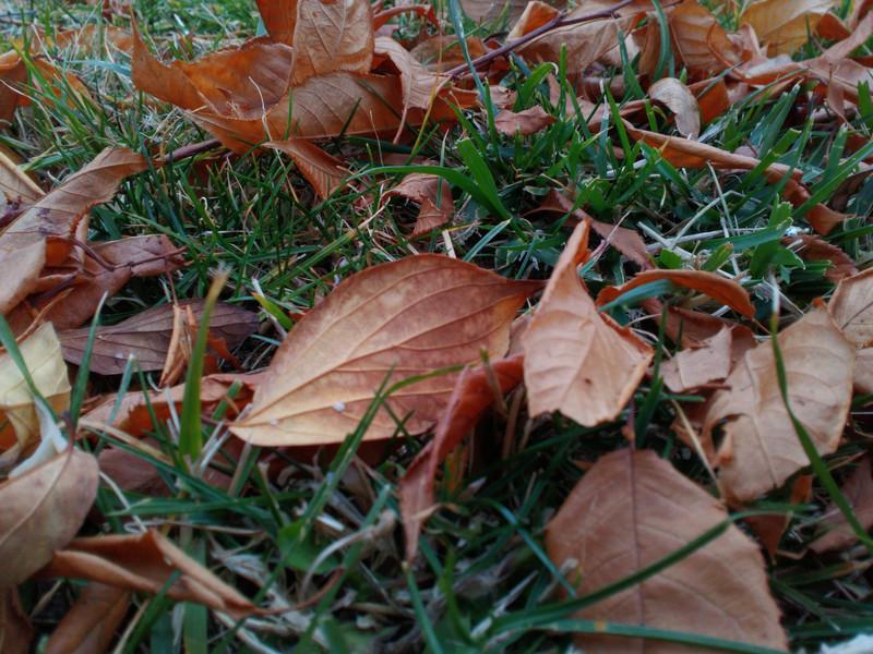 联想手机乐檬k3,联想乐檬k30